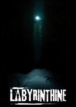 Labyrinthine постер (cover)