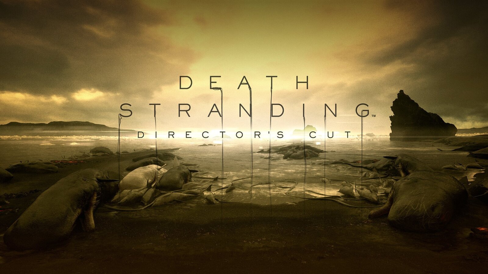 Death Stranding - Director's Cut