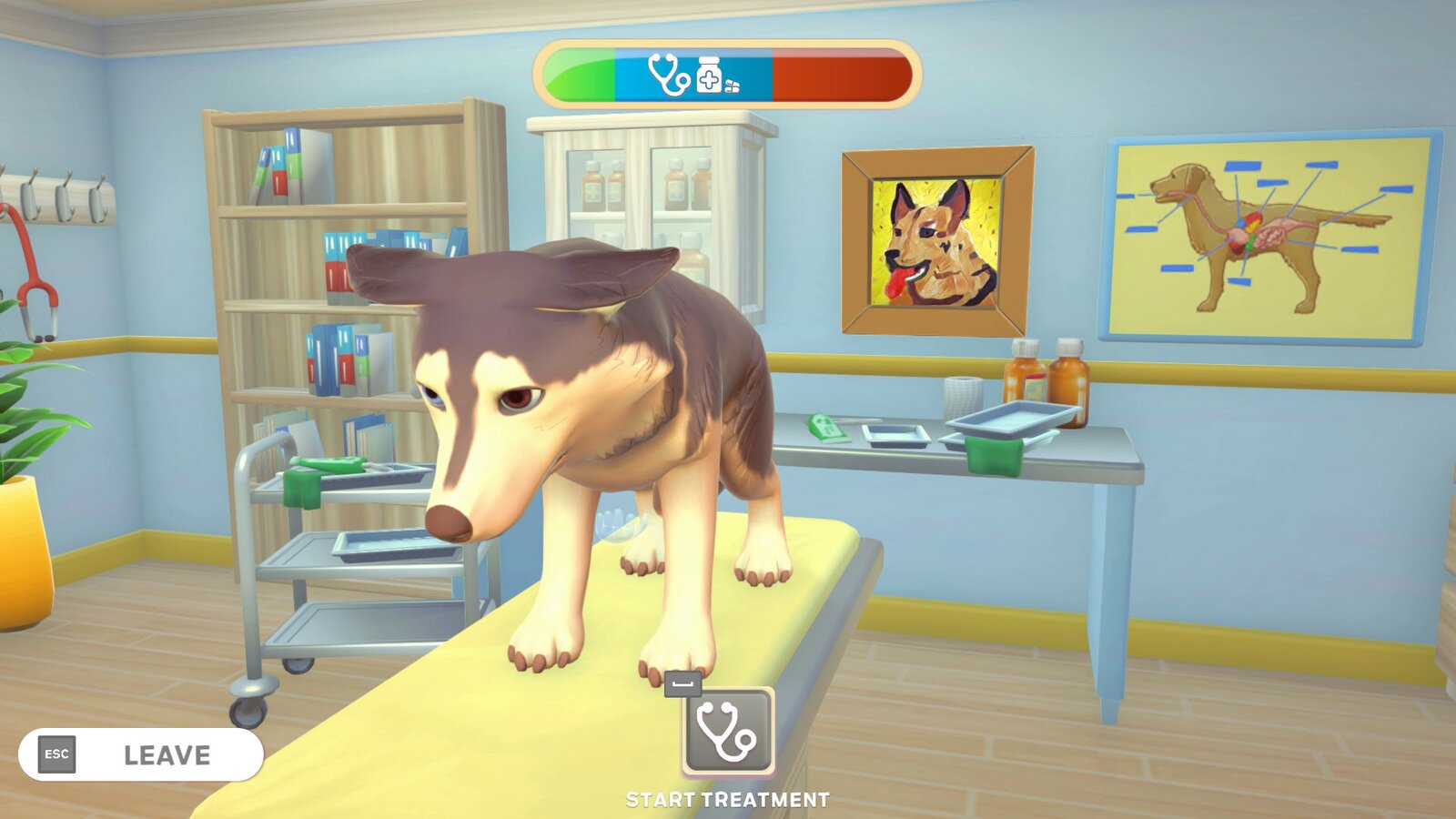 My Universe - Pet Clinic Cats & Dogs