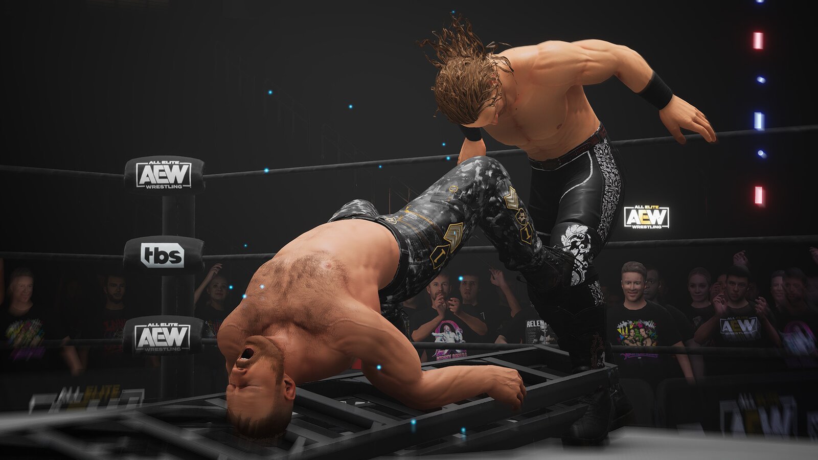 AEW: Fight Forever - Elite Edition